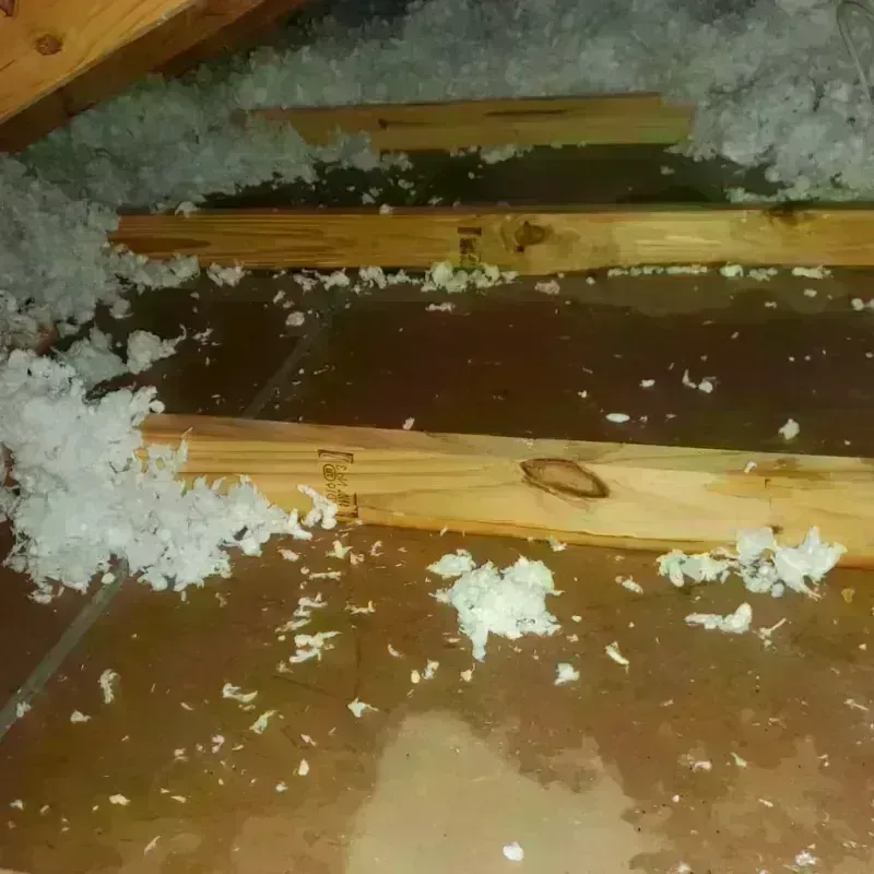 Attic Water Damage in Upland, CA