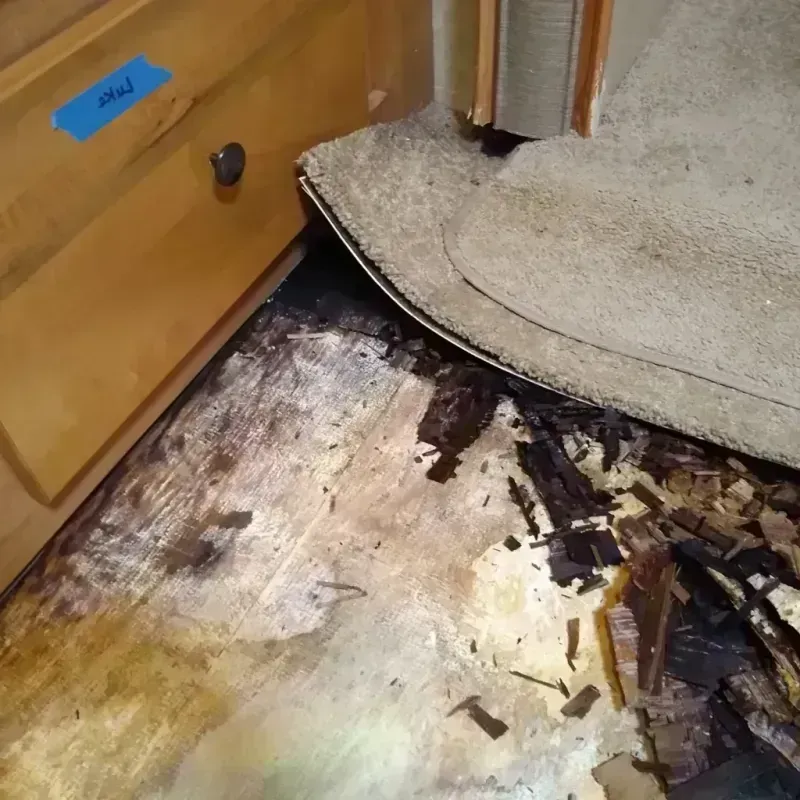 Wood Floor Water Damage in Upland, CA